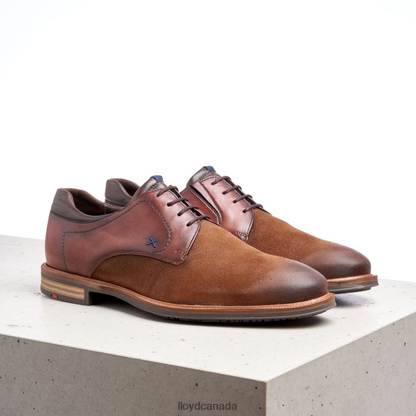 KAUNAS (XTRAWIDE) LLOYD Men brown R084ZF228 Shoes
