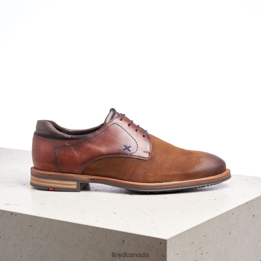KAUNAS (XTRAWIDE) LLOYD Men brown R084ZF228 Shoes