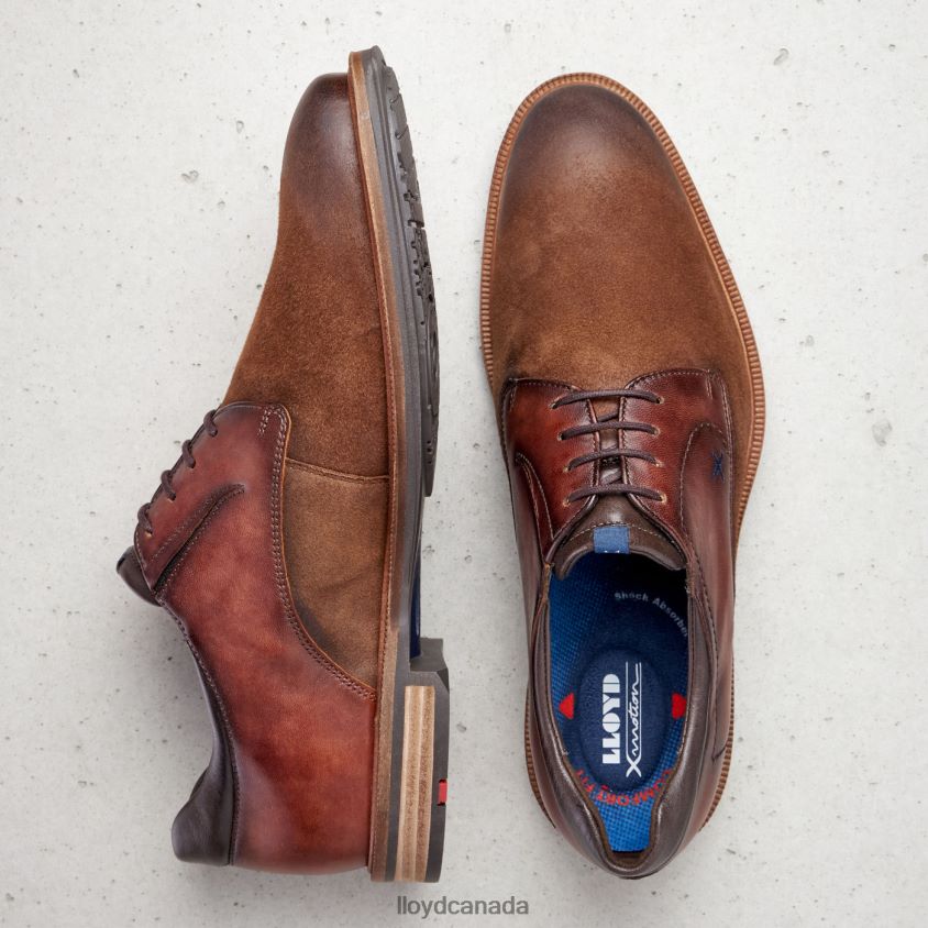 KAUNAS (XTRAWIDE) LLOYD Men brown R084ZF228 Shoes