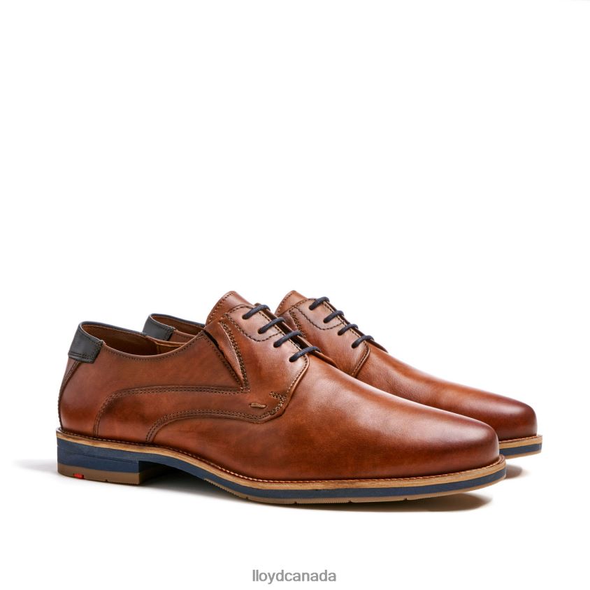 KAZAN (XTRAWIDE) LLOYD Men brown R084ZF110 Shoes