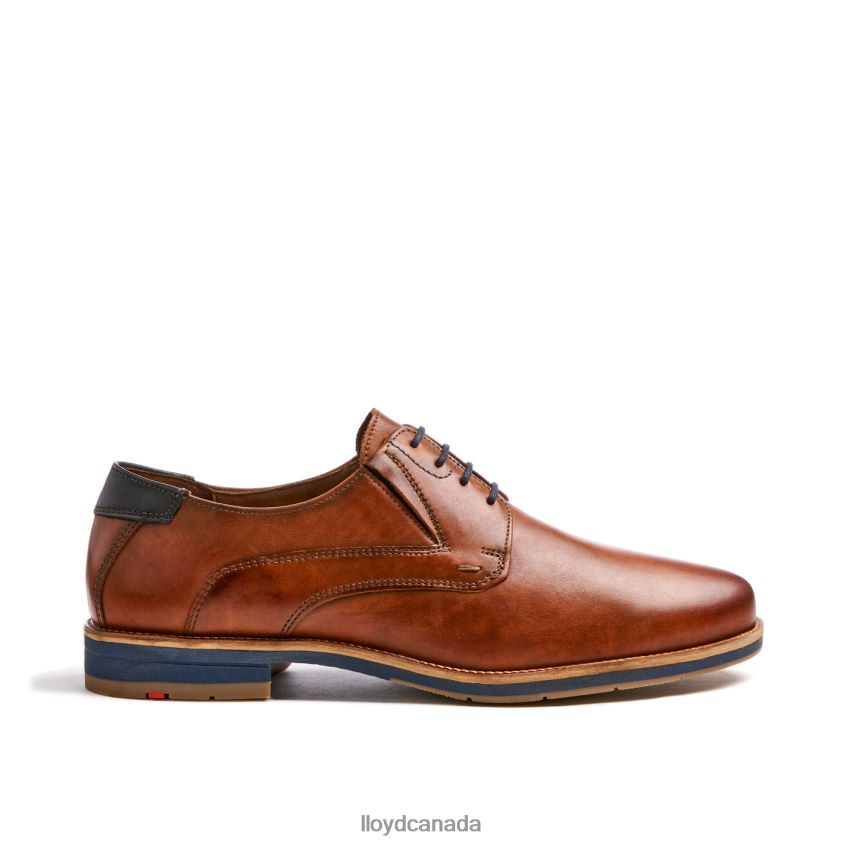 KAZAN (XTRAWIDE) LLOYD Men brown R084ZF110 Shoes