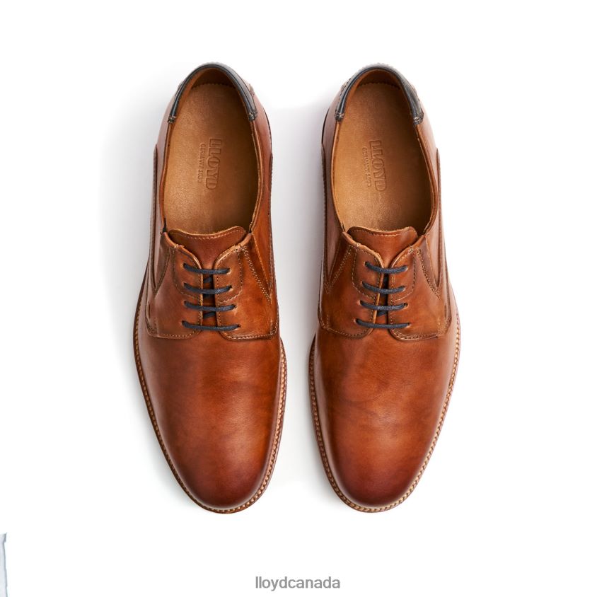 KAZAN (XTRAWIDE) LLOYD Men brown R084ZF110 Shoes