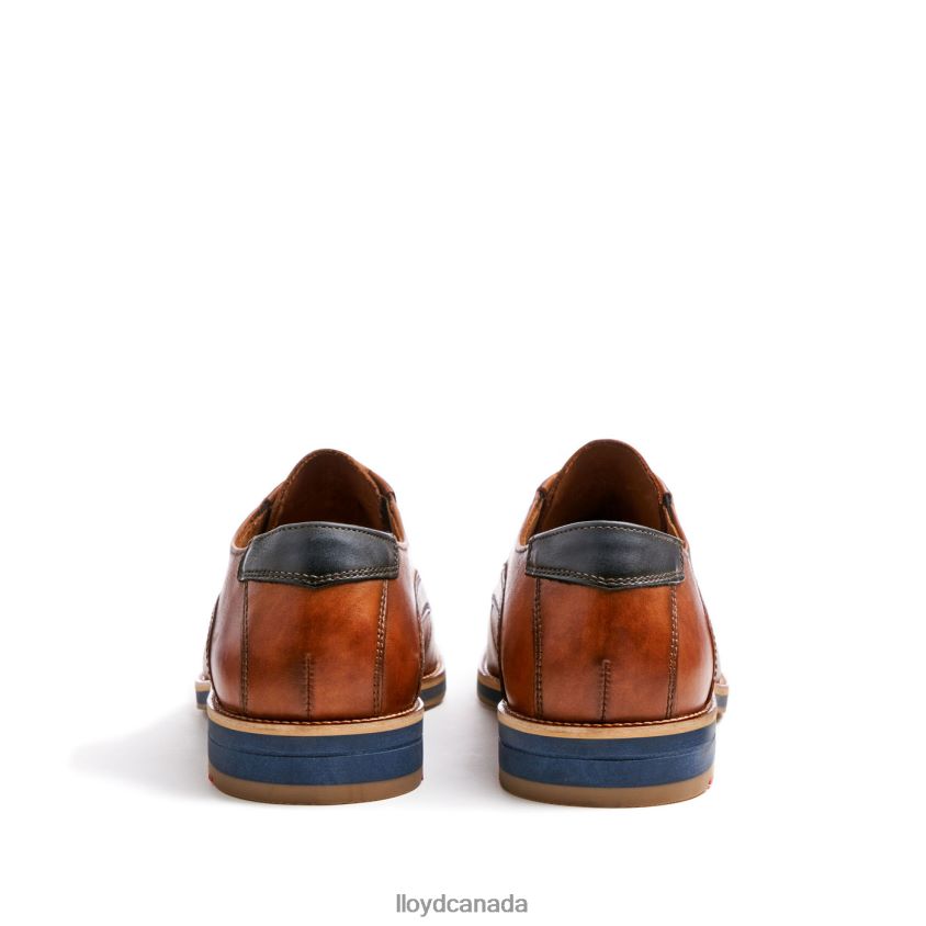 KAZAN (XTRAWIDE) LLOYD Men brown R084ZF110 Shoes