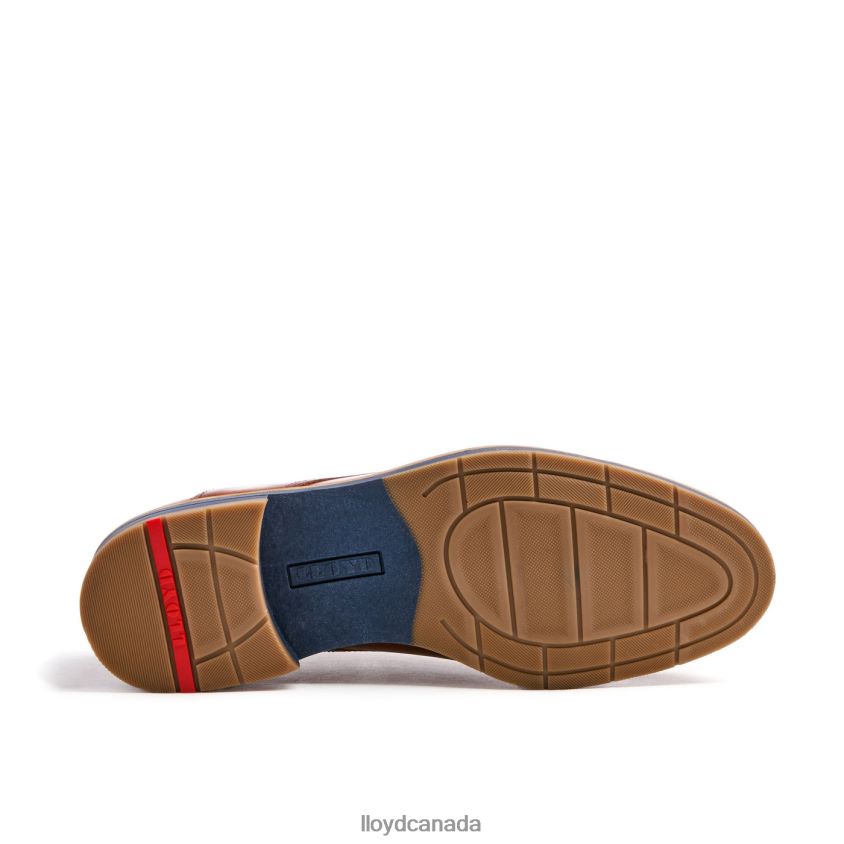 KAZAN (XTRAWIDE) LLOYD Men brown R084ZF110 Shoes
