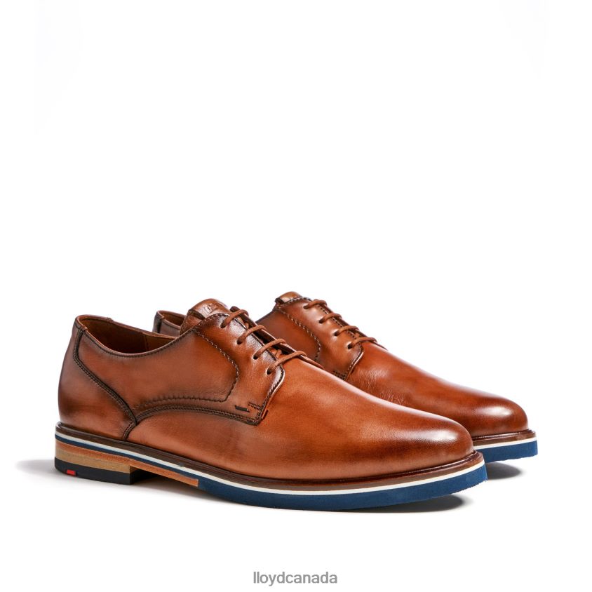 KEAST (XTRAWIDE) LLOYD Men brown R084ZF207 Shoes