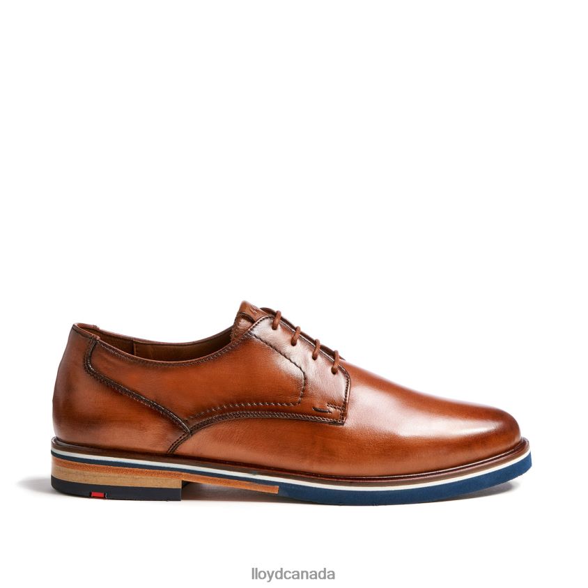KEAST (XTRAWIDE) LLOYD Men brown R084ZF207 Shoes