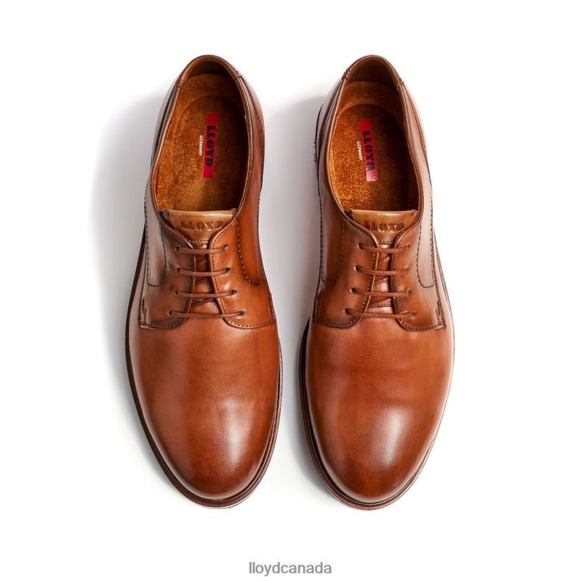KEAST (XTRAWIDE) LLOYD Men brown R084ZF207 Shoes