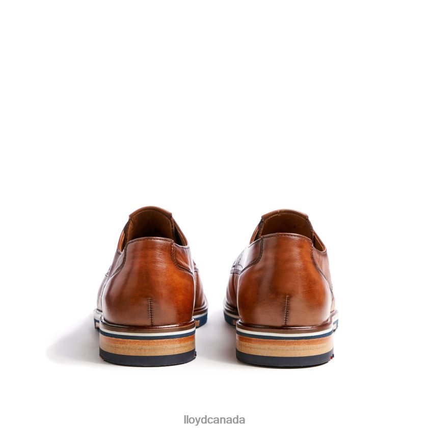 KEAST (XTRAWIDE) LLOYD Men brown R084ZF207 Shoes