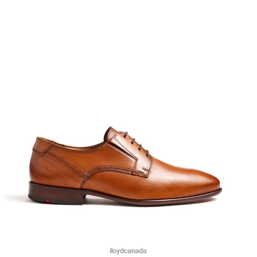 KEEP LLOYD Men brown R084ZF129 Shoes
