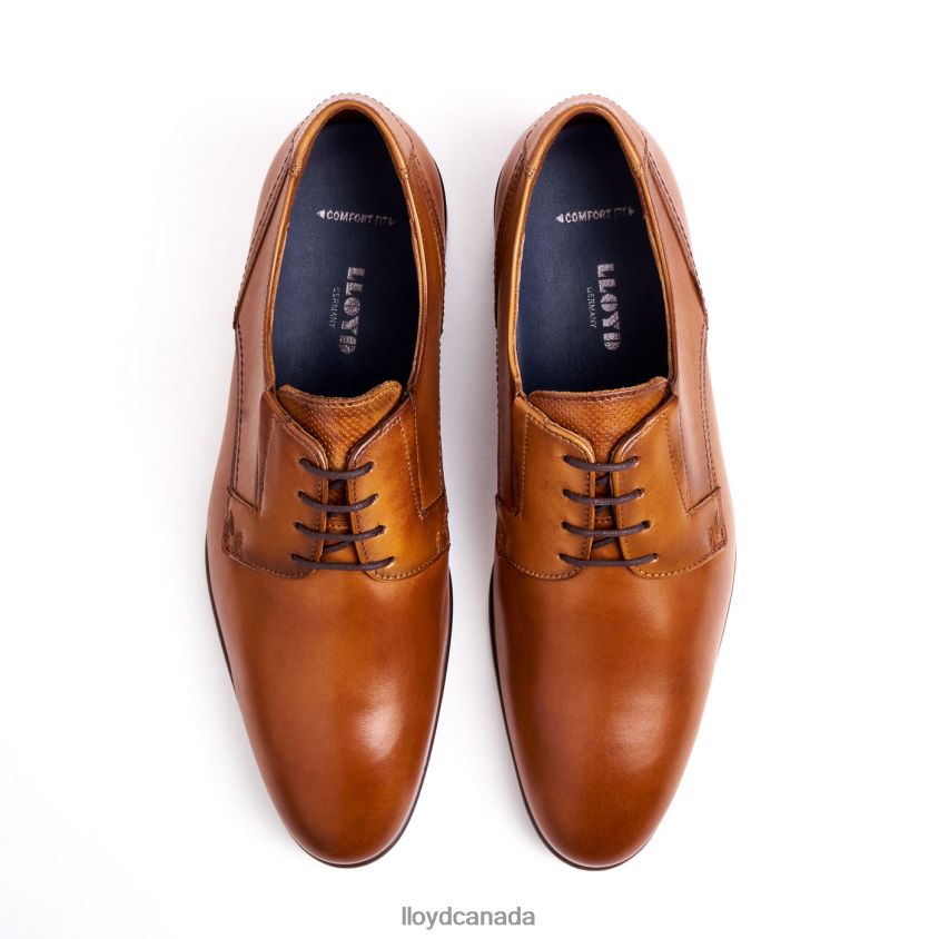 KEEP LLOYD Men brown R084ZF129 Shoes