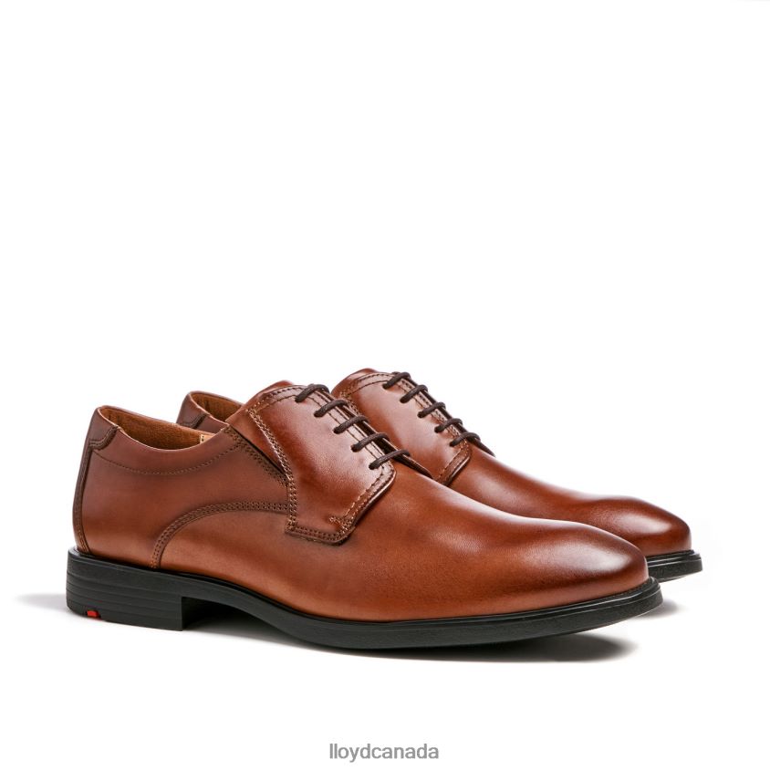 KENTUCKY (XTRAWIDE) LLOYD Men brown R084ZF120 Shoes
