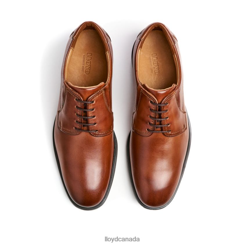 KENTUCKY (XTRAWIDE) LLOYD Men brown R084ZF120 Shoes