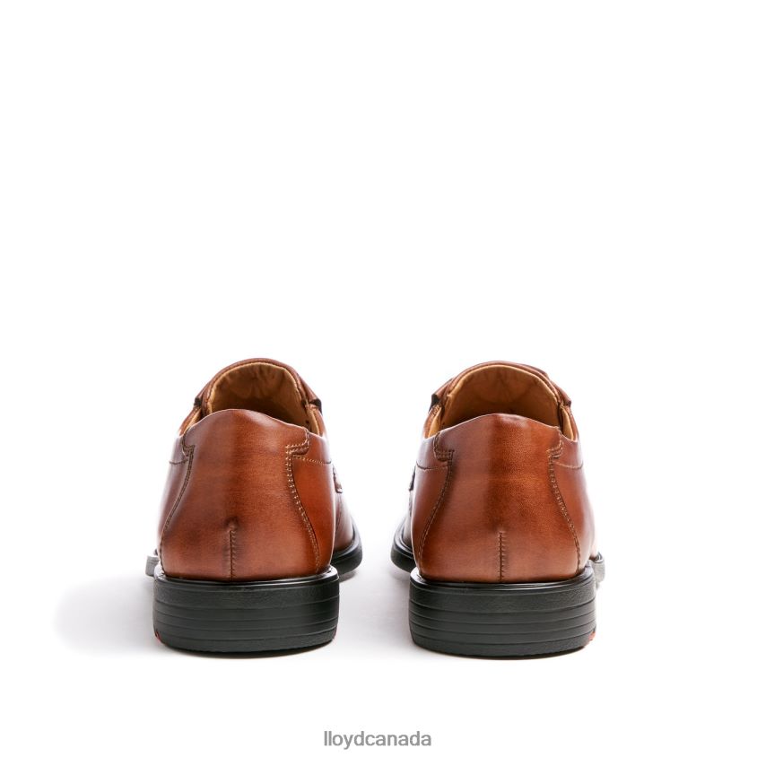 KENTUCKY (XTRAWIDE) LLOYD Men brown R084ZF120 Shoes