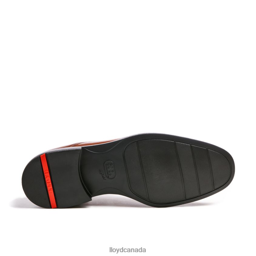 KENTUCKY (XTRAWIDE) LLOYD Men brown R084ZF120 Shoes