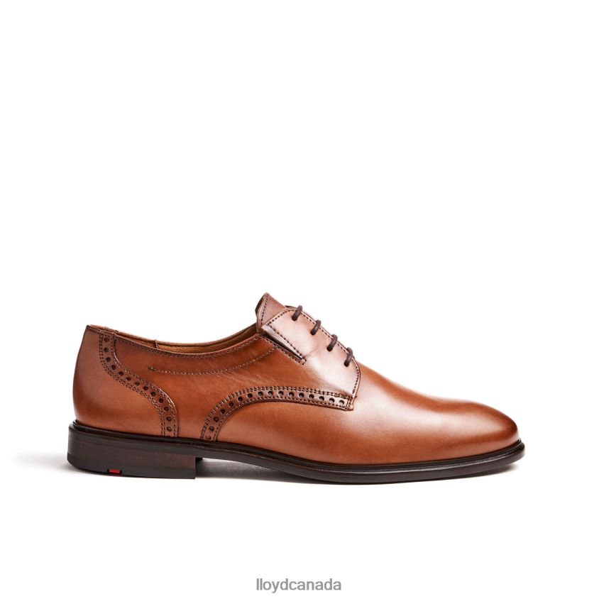 KOOG (XTRAWIDE) LLOYD Men brown R084ZF75 Shoes