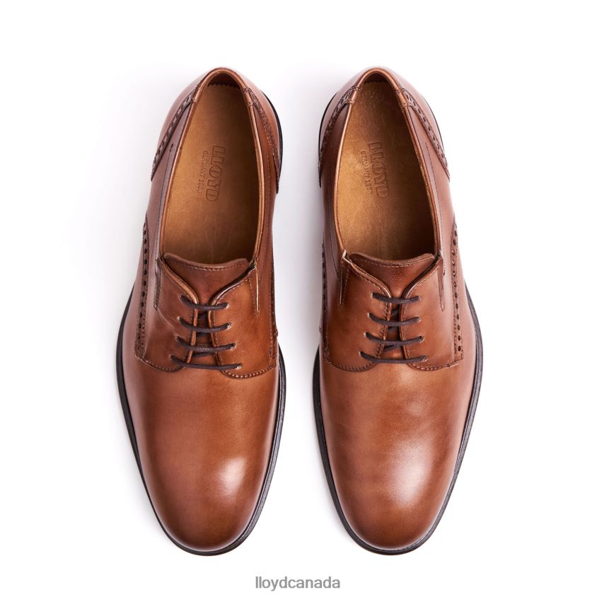 KOOG (XTRAWIDE) LLOYD Men brown R084ZF75 Shoes