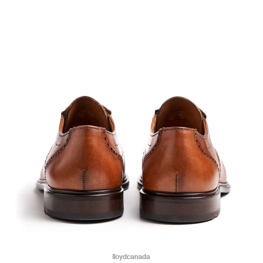 KOOG (XTRAWIDE) LLOYD Men brown R084ZF75 Shoes