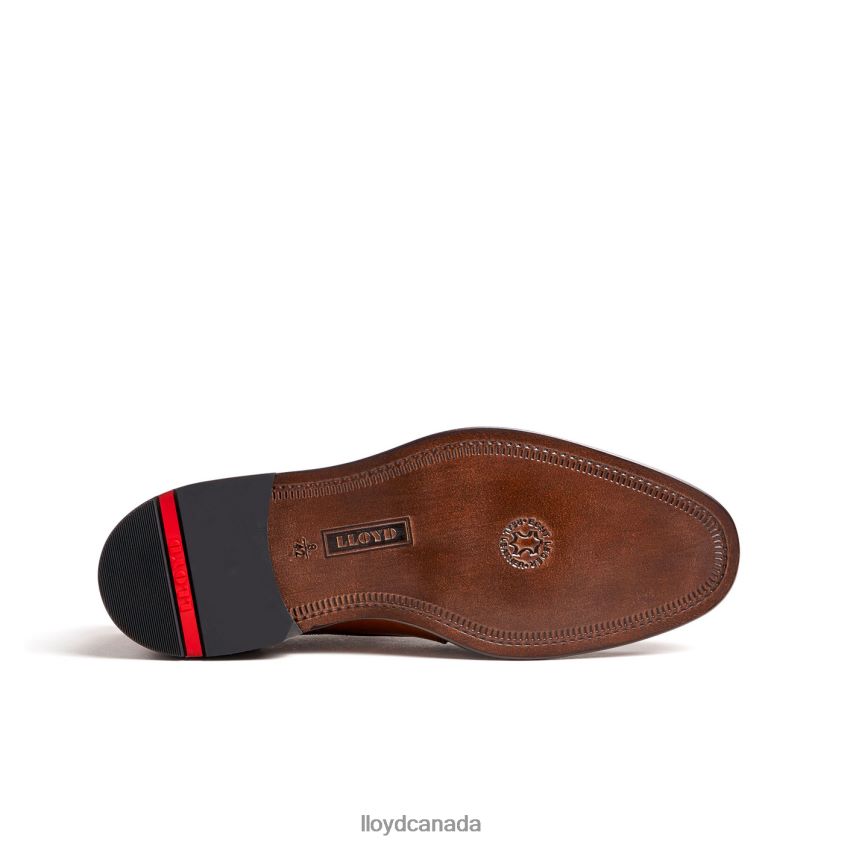 KOOG (XTRAWIDE) LLOYD Men brown R084ZF75 Shoes