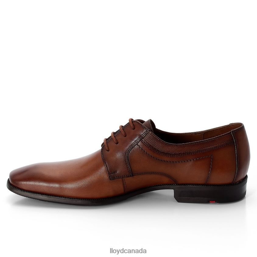 LACOUR LLOYD Men brown R084ZF97 Shoes