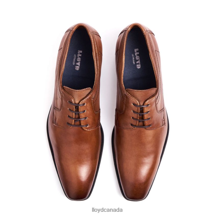 LACOUR LLOYD Men brown R084ZF97 Shoes