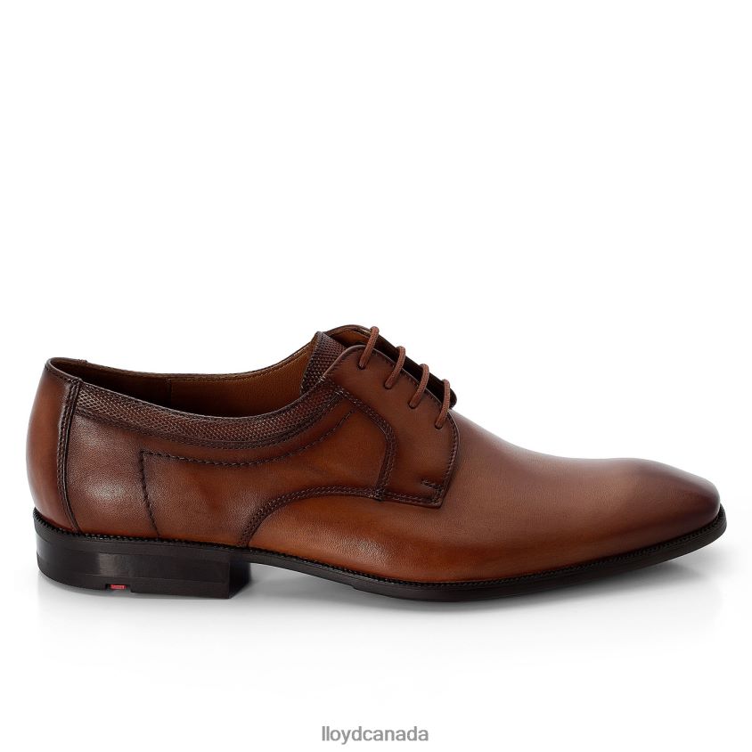 LACOUR LLOYD Men brown R084ZF97 Shoes