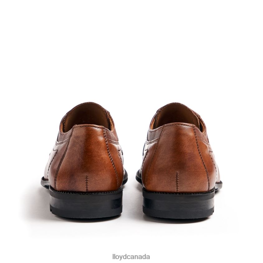 LACOUR LLOYD Men brown R084ZF97 Shoes