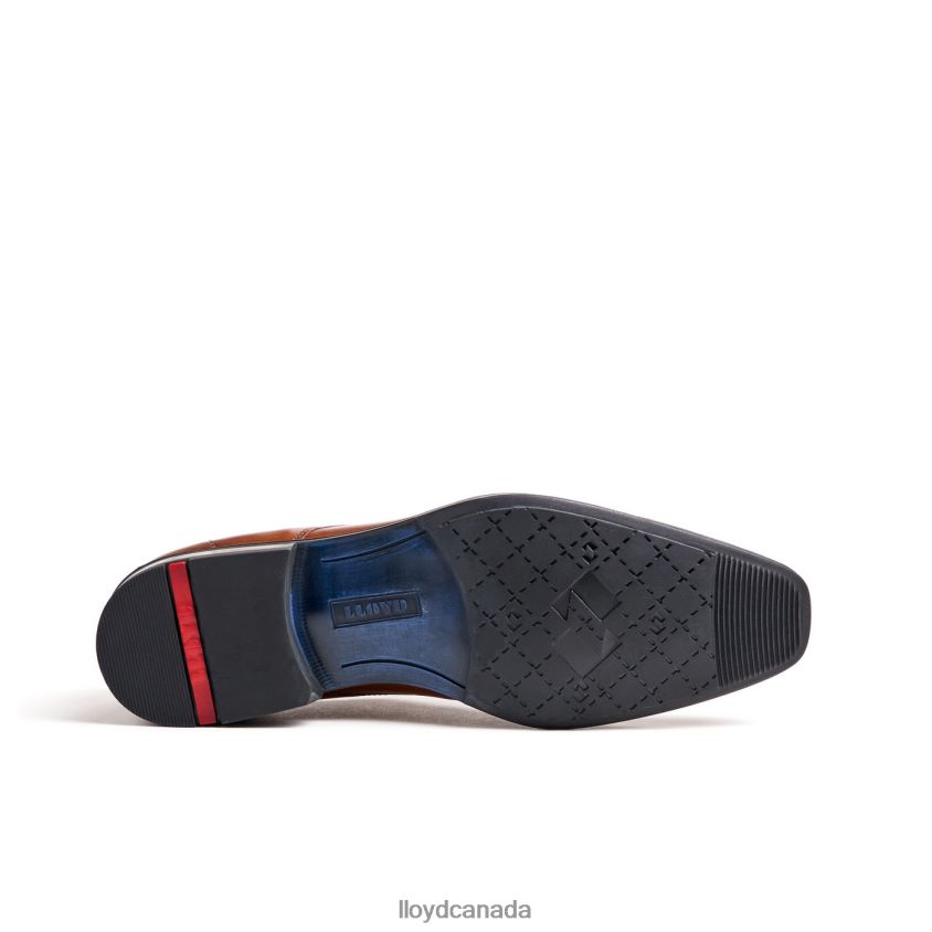 LACOUR LLOYD Men brown R084ZF97 Shoes