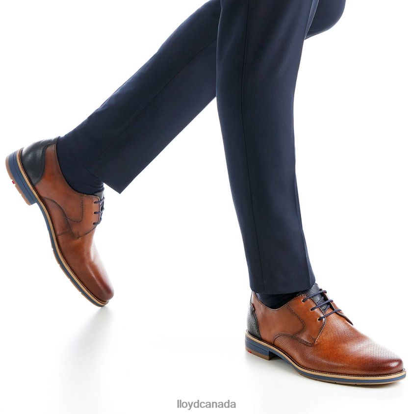 LAGOS LLOYD Men brown R084ZF105 Shoes