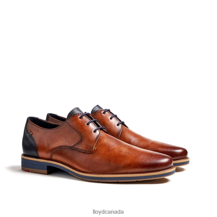 LAGOS LLOYD Men brown R084ZF105 Shoes