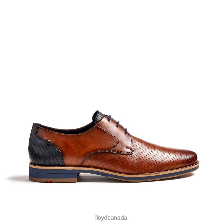 LAGOS LLOYD Men brown R084ZF105 Shoes