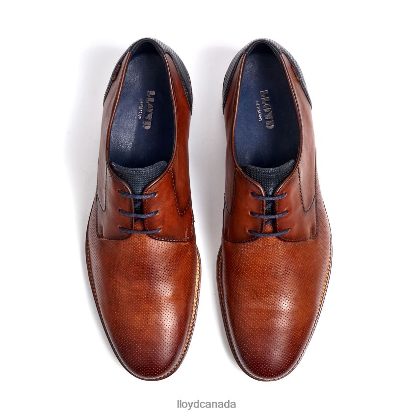 LAGOS LLOYD Men brown R084ZF105 Shoes