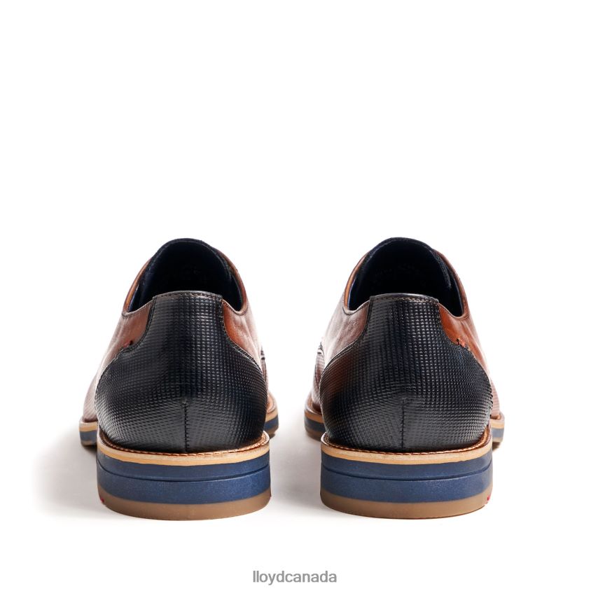 LAGOS LLOYD Men brown R084ZF105 Shoes
