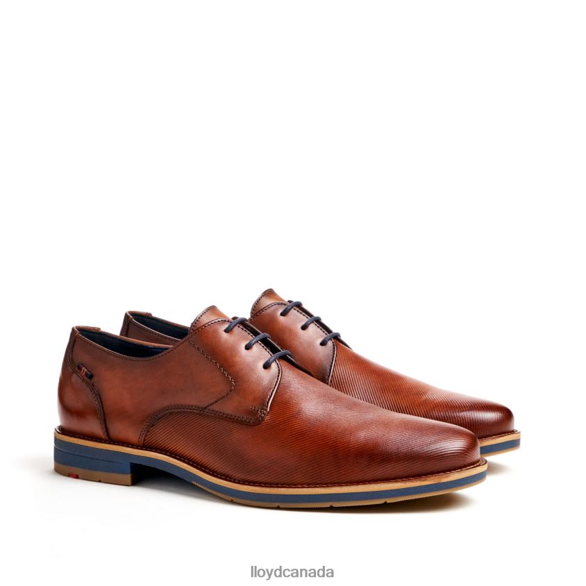 LAVAL LLOYD Men brown R084ZF41 Shoes