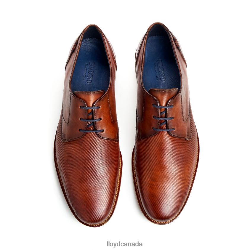 LAVAL LLOYD Men brown R084ZF41 Shoes