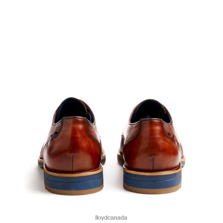 LAVAL LLOYD Men brown R084ZF41 Shoes
