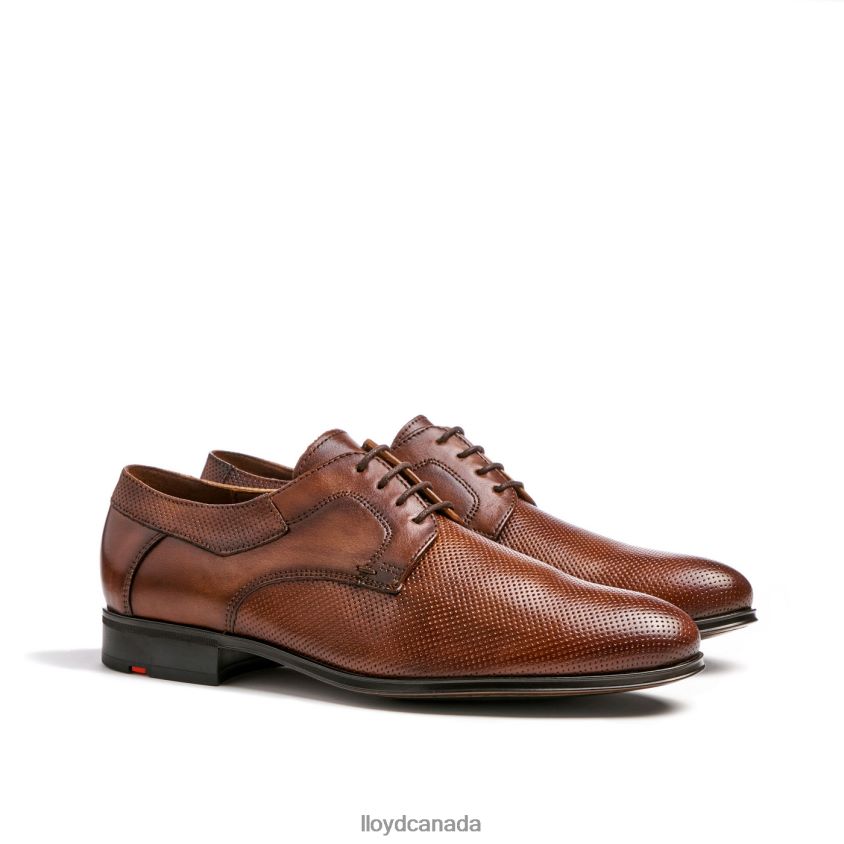LEVIN LLOYD Men brown R084ZF87 Shoes