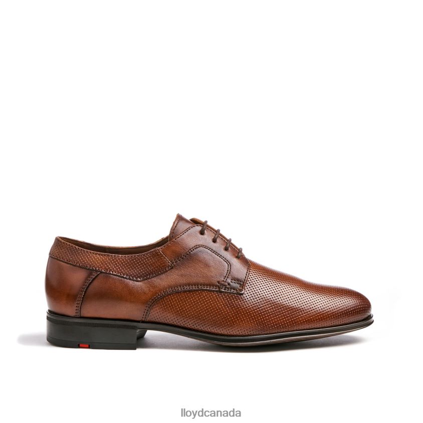 LEVIN LLOYD Men brown R084ZF87 Shoes