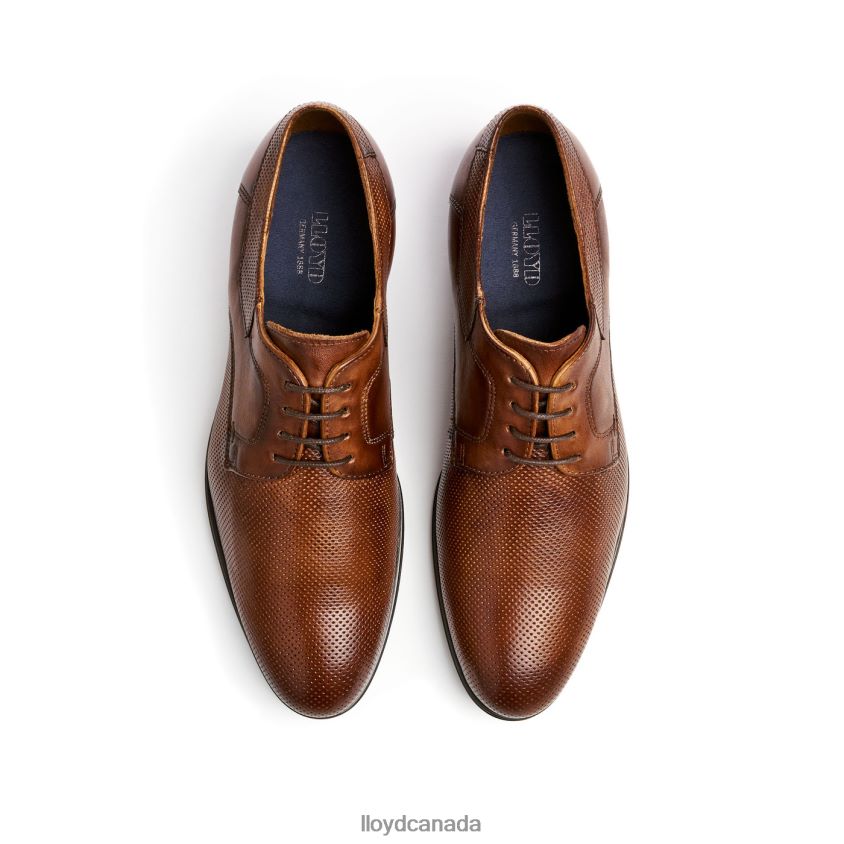 LEVIN LLOYD Men brown R084ZF87 Shoes