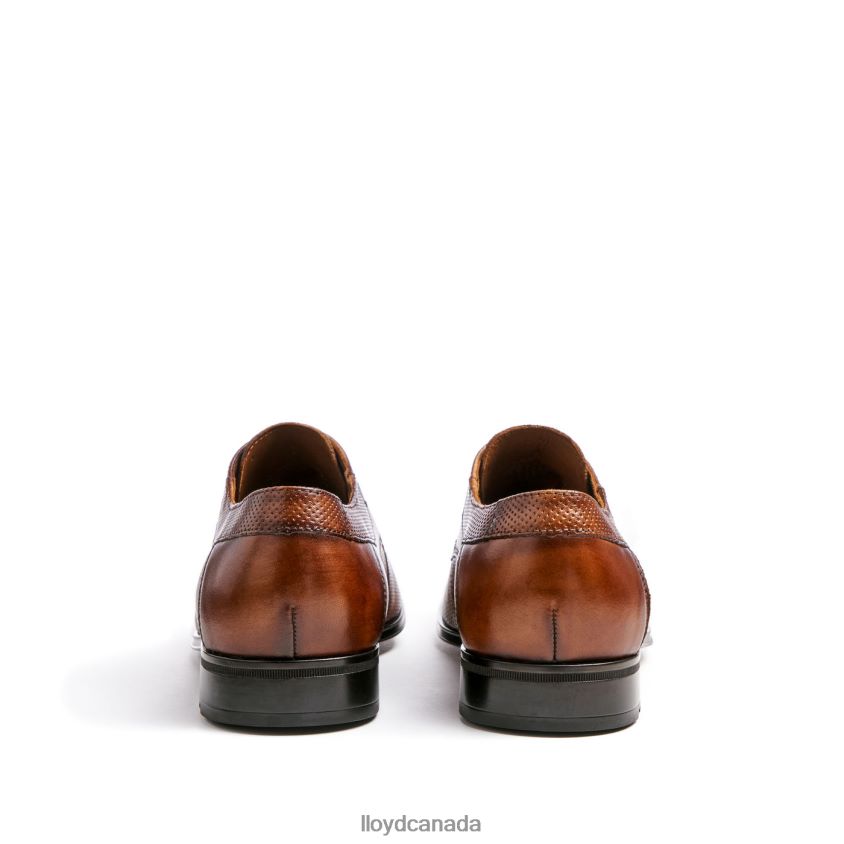 LEVIN LLOYD Men brown R084ZF87 Shoes