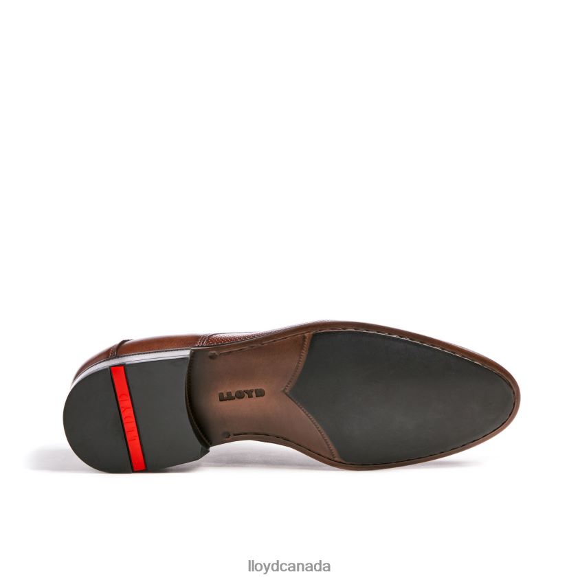 LEVIN LLOYD Men brown R084ZF87 Shoes