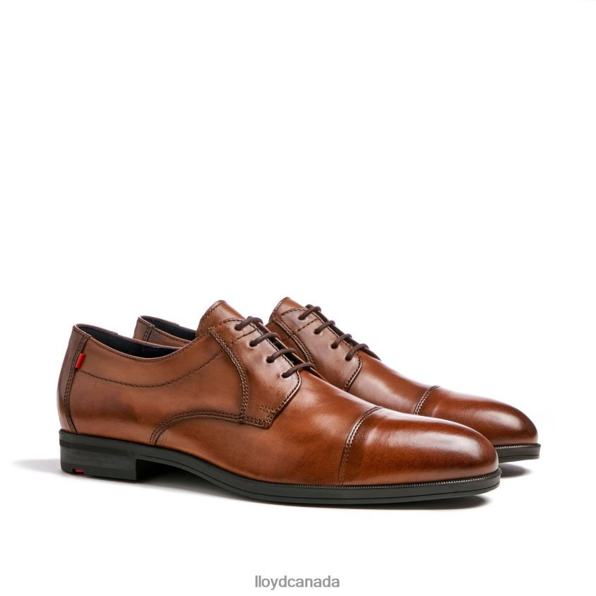 LIAS LLOYD Men brown R084ZF24 Shoes