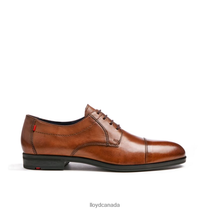 LIAS LLOYD Men brown R084ZF24 Shoes