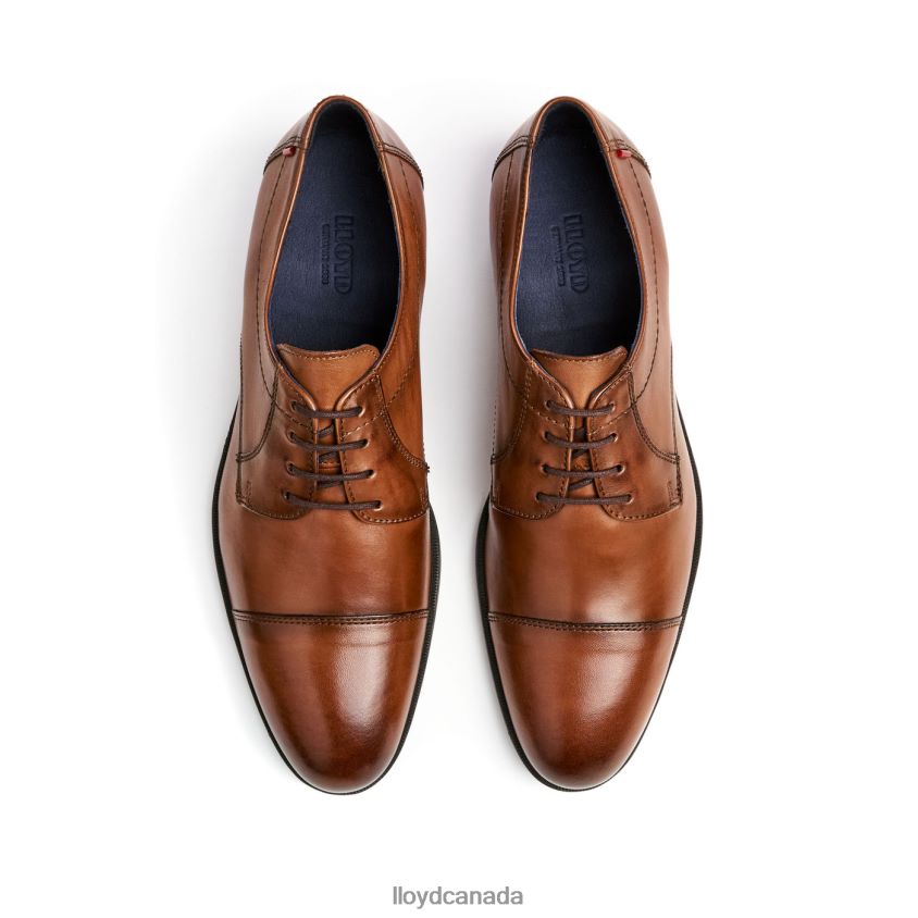 LIAS LLOYD Men brown R084ZF24 Shoes
