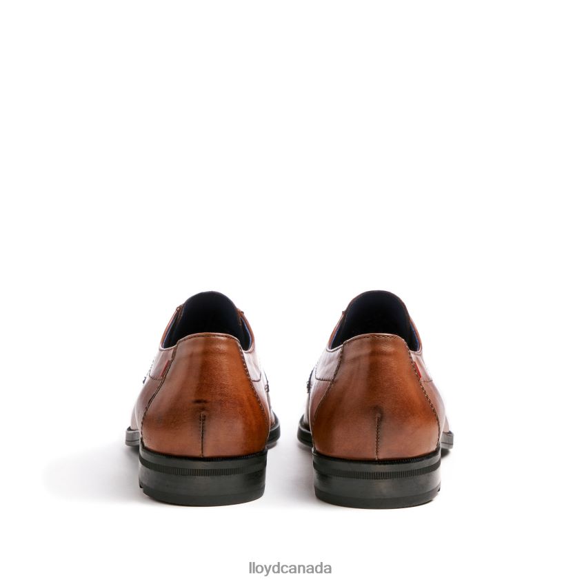 LIAS LLOYD Men brown R084ZF24 Shoes