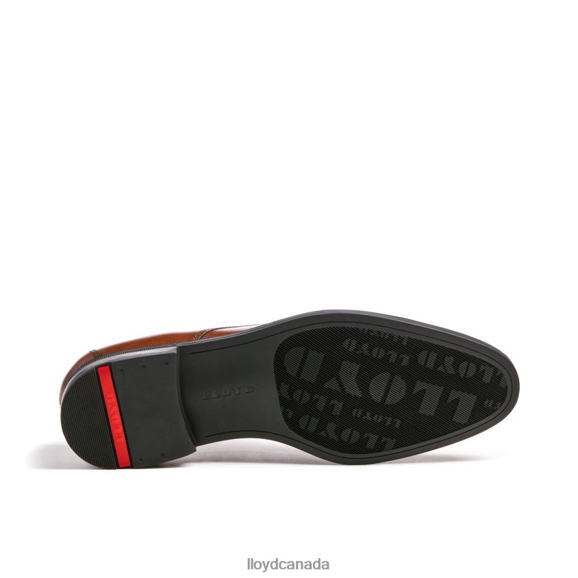 LIAS LLOYD Men brown R084ZF24 Shoes