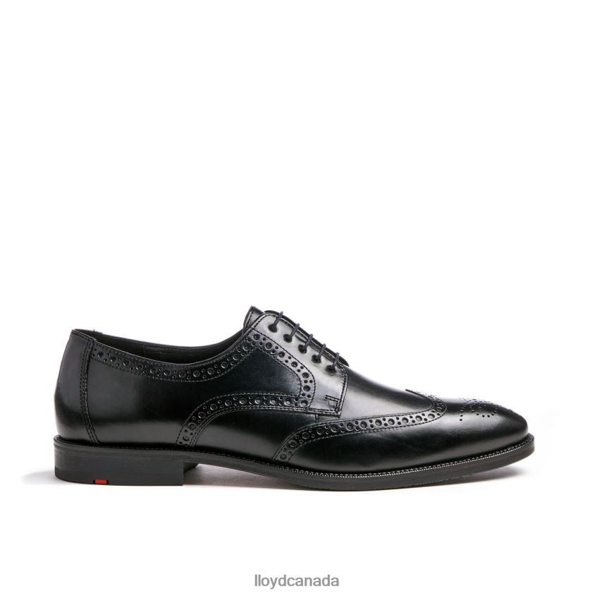 LUCIEN LLOYD Men black R084ZF17 Shoes
