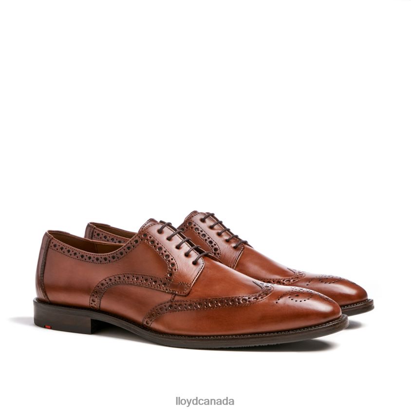 LUCIEN LLOYD Men brown R084ZF574 Shoes