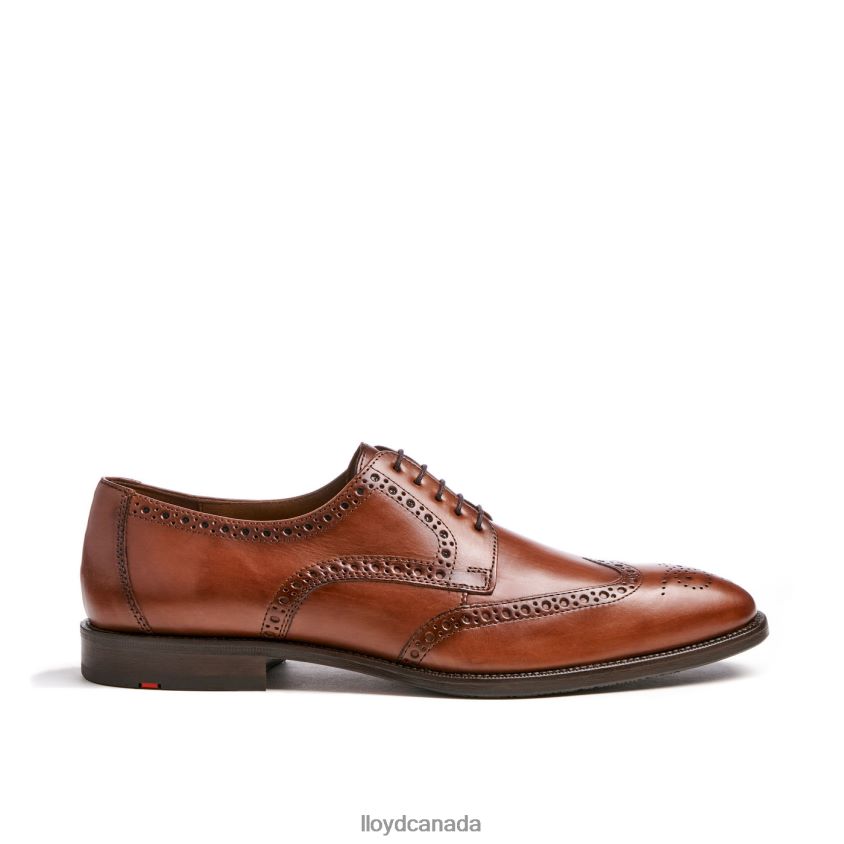 LUCIEN LLOYD Men brown R084ZF574 Shoes