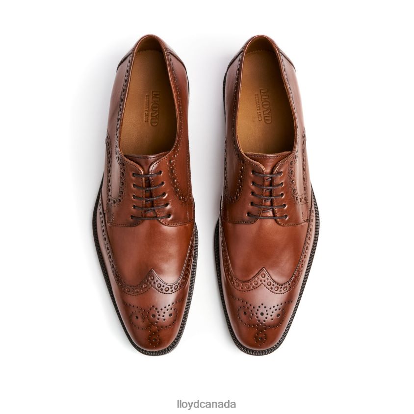 LUCIEN LLOYD Men brown R084ZF574 Shoes