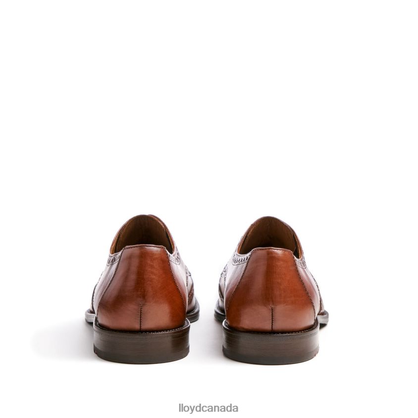 LUCIEN LLOYD Men brown R084ZF574 Shoes